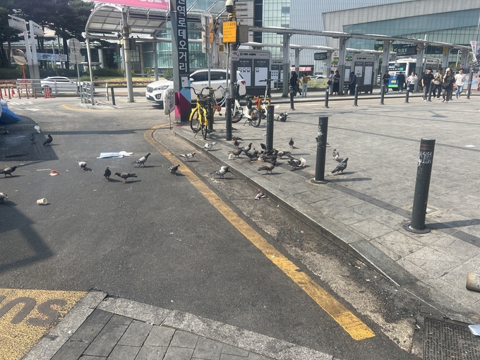 9일 오전 수원역로데오거리 광장에 쓰레기가 버려져 있는 모습. (사진=장진 기자)
