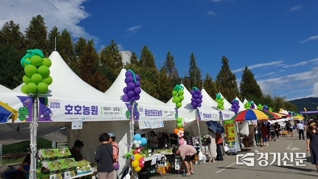 안성맞춤포도축제 현장. (사진=안성시 제공)