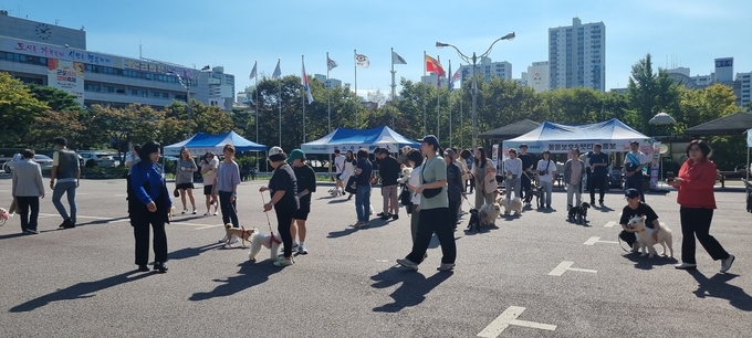 군포시가 최근 '반려동물 문화교실'을 개최했다. (사진=군포시 제공)