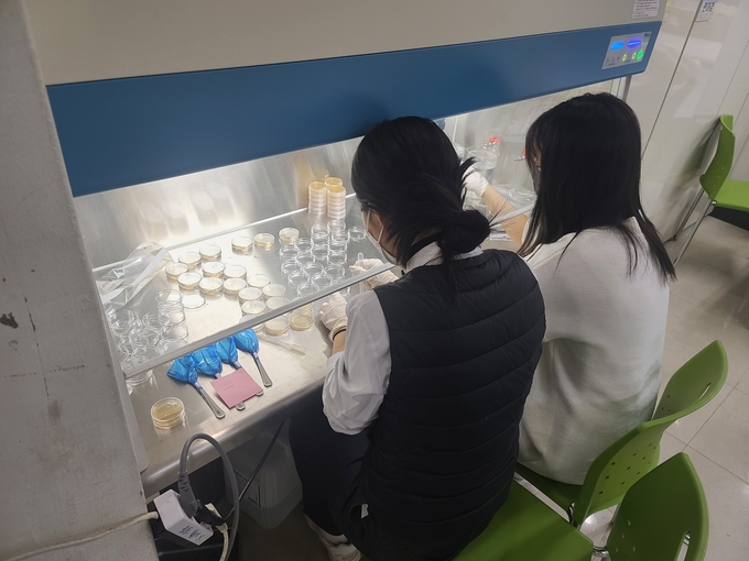 양일고등학교에서 학생들이 과제 연구를 수행하고 있다. (사진=양일고등학교 제공)