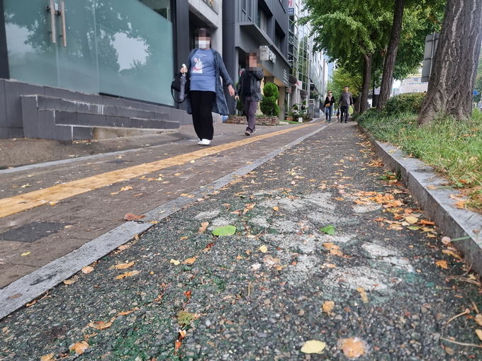 인천 남동구에 조성된 자전거길의 자전거 마크가 흐릿하다. ( 사진 = 김민지 기자 )