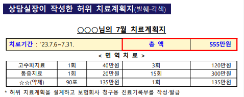 (자료=금융감독원 제공)