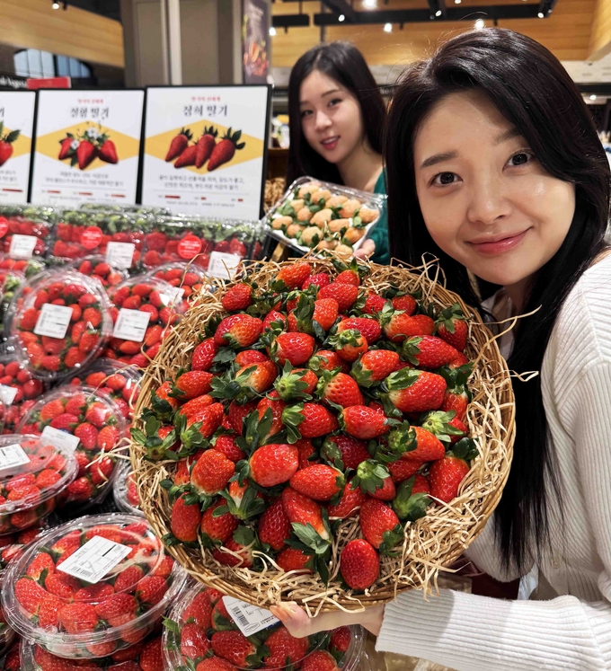 신세계百, '얼리 윈터 딸기의 신세계' 행사 진행 (사진=신세계백화점 제공)