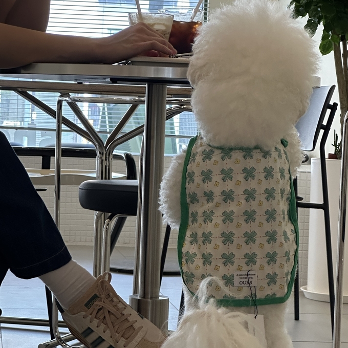 반려동물 동반출입 음식점. (사진=경기도 제공)
