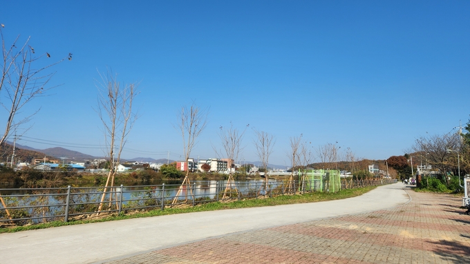 용인특례시는 처인구 모현읍 탄천변 자전거 도로와 기흥구 공세동 인도변에 가로숲길을 조성했다. (사진=용인시 제공)