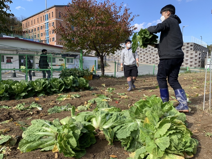 샘물중고등학교 학생들이 야외 활동에 참여하고 있다. (사진=샘물중고등학교 제공)