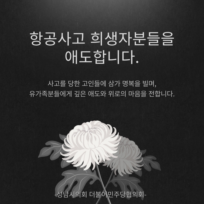 이미지=성남시의회 더불어민주당협의회