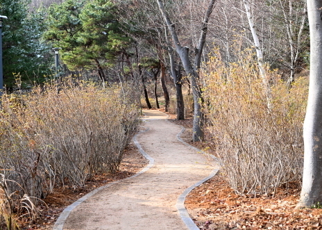 파주시는 지난 29일 월롱산에 맨발 산책로를 개장했다. 월롱산 등산로와 연결돼 앞으로 등산객들의 발길이 이어질 것으로 보인다. (사진=파주시 제공)