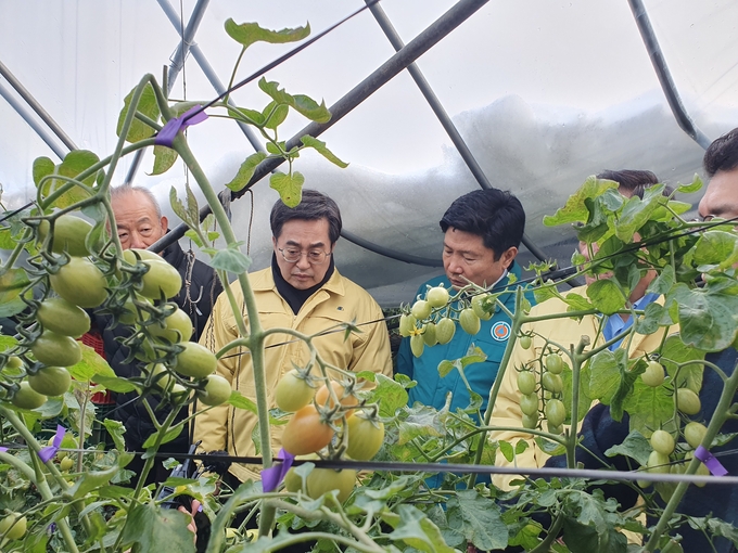 2일 평택시 진위면 소재 방울토마토 비닐하우스 폭설 피해 현장을 찾은 김동연 경기도지사가 피해상황을 점검하고 있다. (사진=이근 기자)