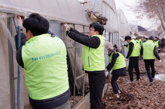 NH농협은행 임직원들이 폭설 피해를 입은 광명시 농가를 찾아 복구 활동을 진행했다. (사진=NH농협은행 제공)