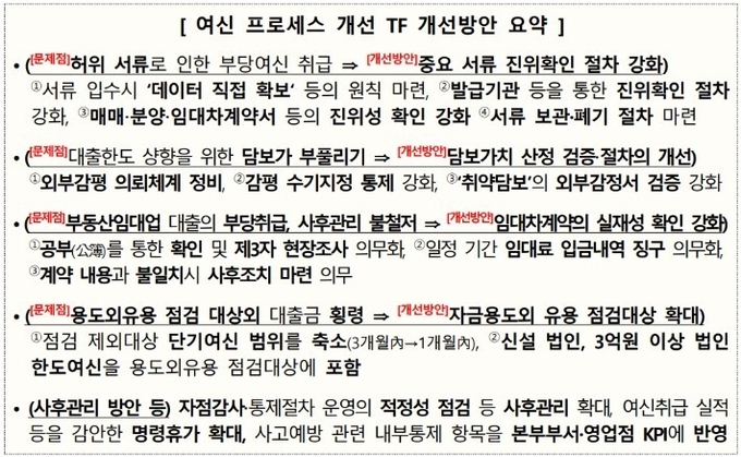 여신 프로세스 개선 TF 개선방안 요약. (자료=금융감독원 제공)