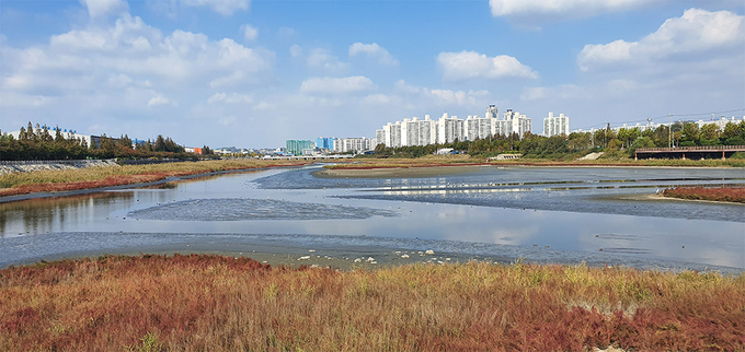 학익유수지 모습. ( 사진 = 학산문화원 제공 )