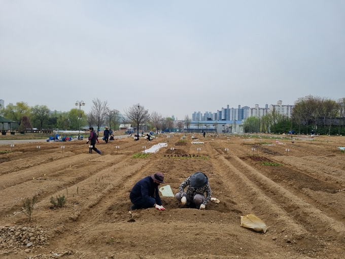 분양 예정인 도시 텃밭 전경. (사진=부천시 제공)