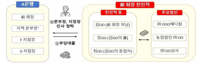 손태승 전 회장 친인척 관련 의심대출 대표사례 (자료=금융감독원 제공)