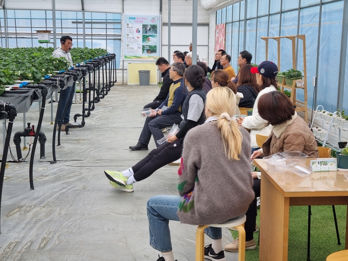 화성특례시가 '2025년 귀농귀촌 교육생'을 선착순 모집한다. 사진은 딸기 재배 교육을 받고 있는 모습. (사진=화성농업기술센터 제공)