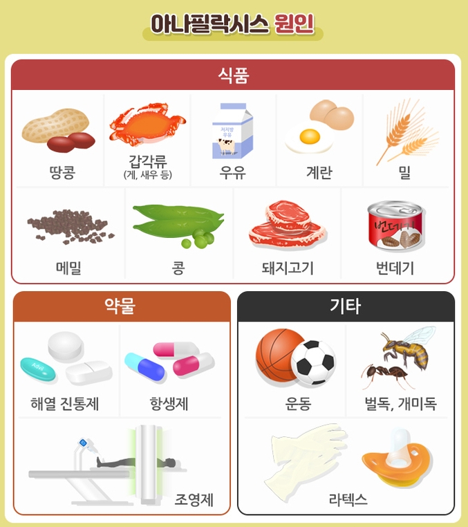 식품알레르기 주의.(사진=국가건강정보포털 제공)