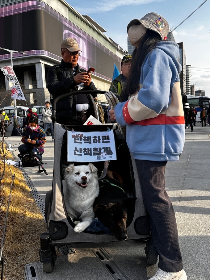 광화문 광장에서 열린 윤석열 대통령 탄핵촉구 집회에 참가한 시민이 반려견과 함께 연설을 듣고 있다. (사진=박희상 수습기자)