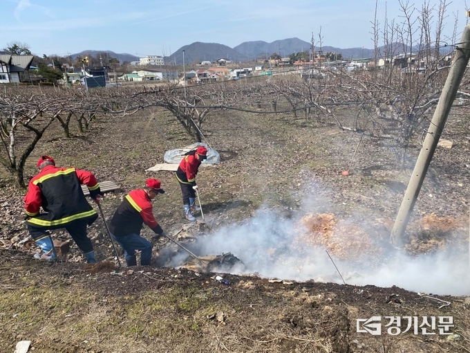 안성시 직원들이 밭두렁에 불법 소각 불씨를 정리하고 있다. (사진=안성시 제공)