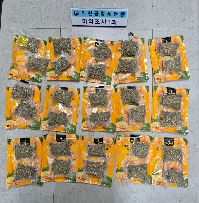 건망고 포장지 속에 대마초 3.1㎏이 진공 포장돼 있다. ( 사진 = 인천공항본부세관 제공 )