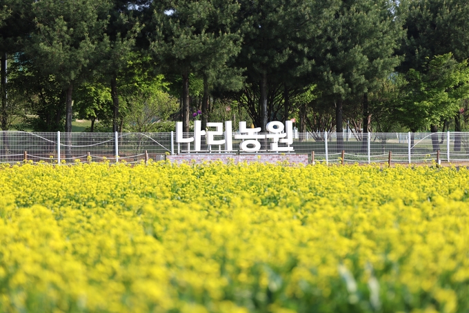 양주시는 5월 24일부터 ‘양주 나리농원 봄 개장’ 을 무료 운영한다. (사진=양주시 제공)