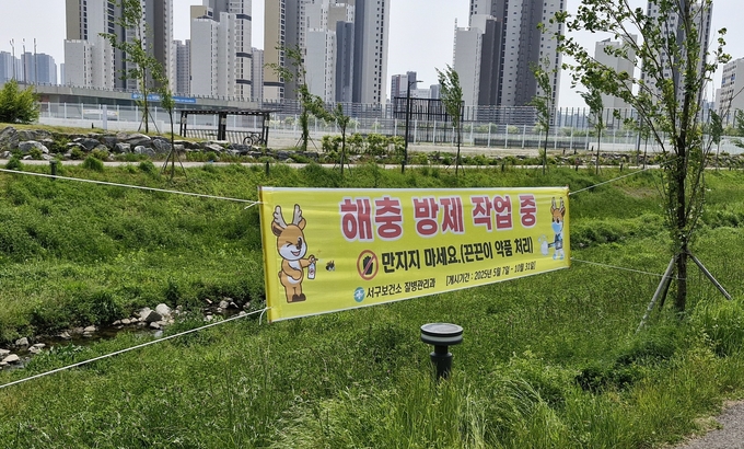심곡천 인근에 게시된 끈끈이 현수막 모습이다. ( 사진 = 서구 제공 )