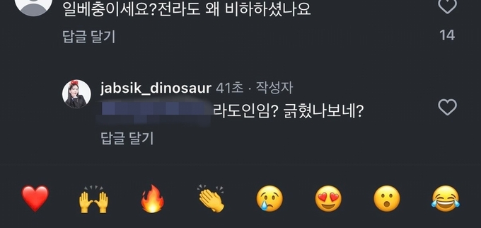유튜버 '잡식공룡'이 자신의 SNS에 남긴 댓글. (사진=유튜버 '잡식공룡' 사회관계망서비스 갈무리)