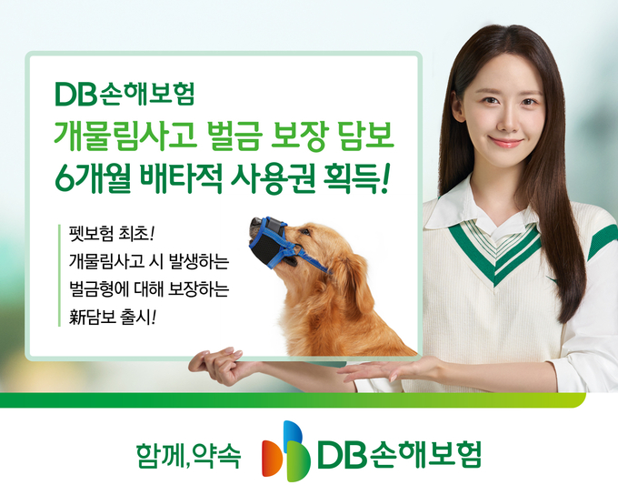 (사진=DB손헤보험 제공)