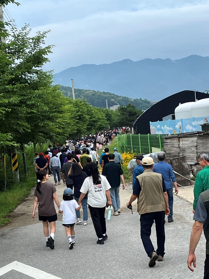 가평군 설악면 주민 400여 명이 참여한 '설악면민 건강걷기 대회'가 지난 14일 성황리에 개최됐다. (사진=가평군 제공)