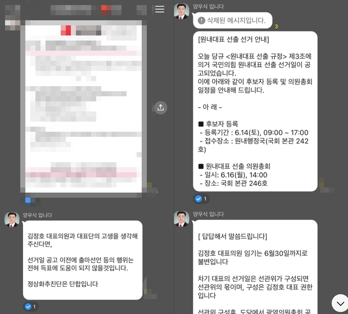 양우식(국힘·비례) 경기도의원의 카카오톡 단체대화방 내용. (사진=독자 제공)