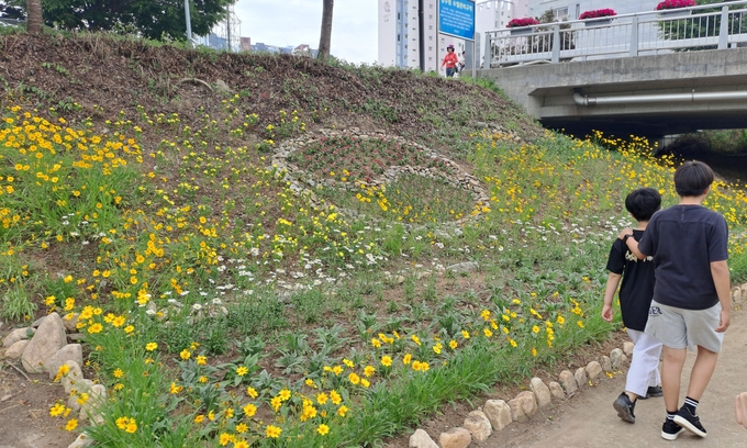 가평군 설악면 경기행복마을관리소가 지역주민의 걷기 생활을 장려하고 힐링 공간을 제공하기 위해 미원천 산책로에 테마형 꽃밭을 조성했다. (사진=설악면 행정복지센터 제공)