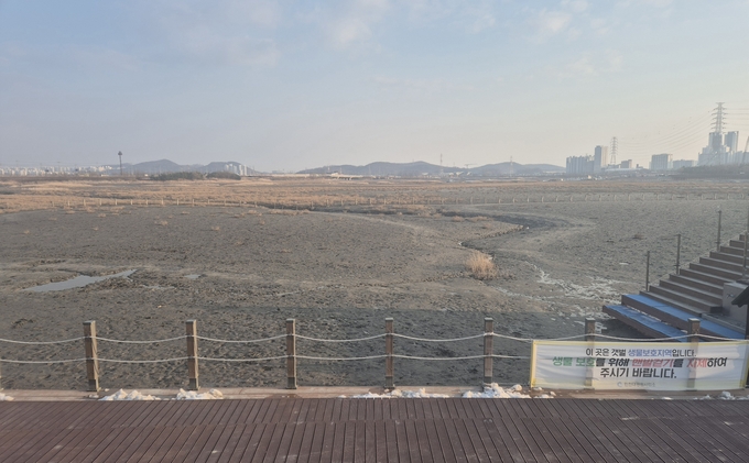인천 남동구 소래습지생태공원 모습. ( 사진 = 유지인 기자 )