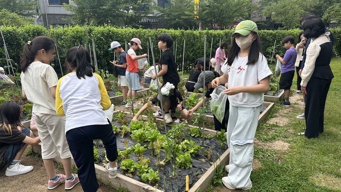24일 생태교육 거점학교인 김포 고창초등학교에 방문한 청수초등학교 학생들이 생태 숲 체험교육 과정으로 텃밭을 가꾸고 있다. (사진=박민정 기자)