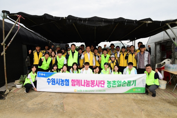수원농협과 NH농협 수원시지부, NH농협은행 대학생 봉사단이 농번기를 맞아 포도농가에서 일손을 도왔다. (사진=경기농협 제공)