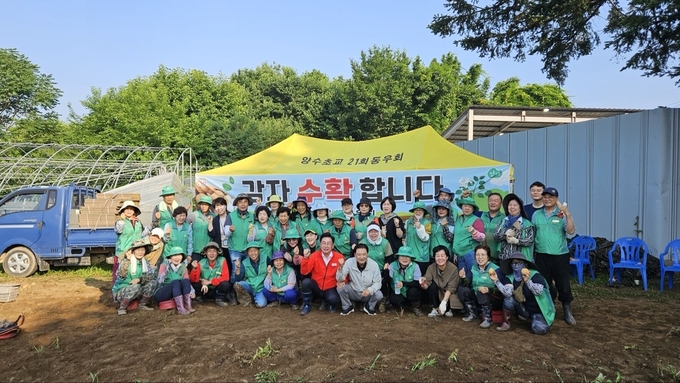 양평군 양서면 새마을지도자협의회와 면부녀협의회는 23일 양서면 새마을회 농장에서 감자수확 행사를 진행했다. (사진=양서면 행정복지센터 제공)
