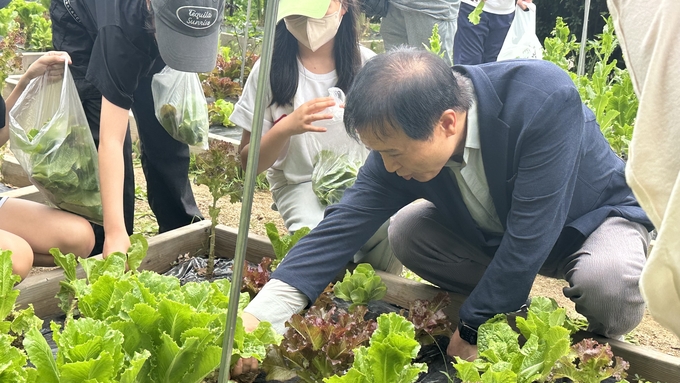 24일 김포 고창초등학교 생태숲학습터 텃밭에서 임태희 경기도교육감이 채소 재배 방법을 알려 주고 있다. (사진=박민정 기자)