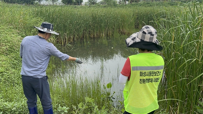  화성시동탄보건소 관계자가 너른공원에서 모기 매개 감염병 예방을 위한 성충방제작업을 하고 있다. (사진=화성특례시 제공)
