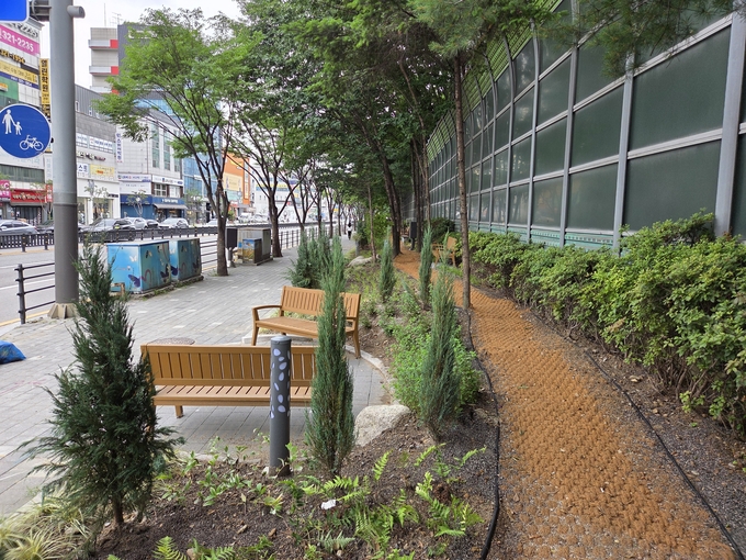용인특례시 처인구는 명지대 사거리 완충녹지를 재정비했다. (사진=용인시 제공)