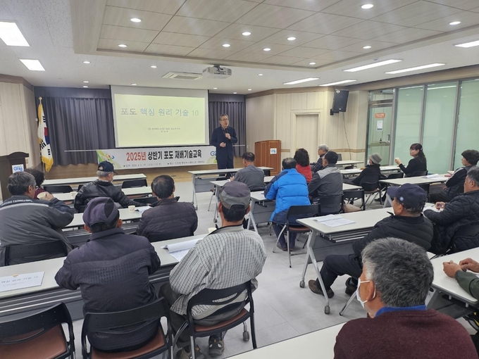 가평군농업기술센터는 본격적인 폭염이 이어지면서 포도농가에 고온기 과원 관리에 각별한 주의를 부탁했다. (사진=가평군농업기술센터 제공)