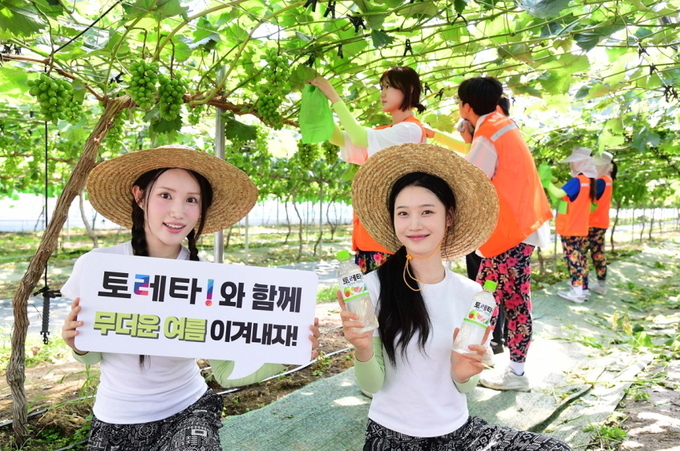 지난 9일 경기도 안성시 서운면에서 상명대학교 학생들이 포도 포장 작업 등 농촌 일손을 도우며 코카-콜라사의 이온보충음료 토레타!로 수분을 보충했다. 이날 현장에는 모델들도 토레타!와 함께하며 폭염 속 수분 보충의 중요성을 알리는 데 힘을 보탰다. (사진=코카콜라 제공)