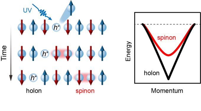 스핀-전하 분리 현상(왼쪽)과 서로 다른 속도로 전달되는 스핀 움직임(Spinon)과 양전하 움직임(Holon)의 에너지-운동량 분포 모식도. (사진=아주대학교 제공)