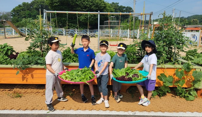 안성 죽화초등학교 학생들이 직접 재배한 농작물을 수확하고 있다. (사진=죽화초등학교 제공)