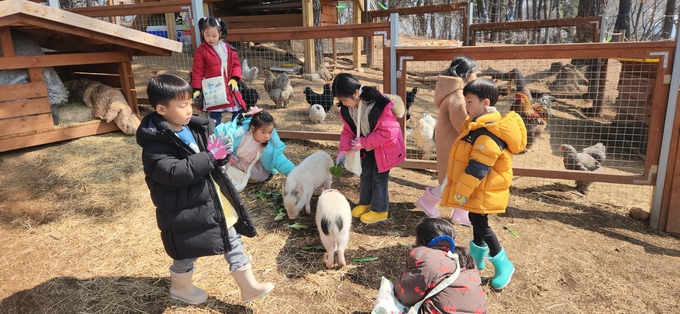 죽화초등학교 학생들이 숲놀이터 속 미니 농장에서 동물과 교감하고 있다. (사진=죽화초등학교 제공)