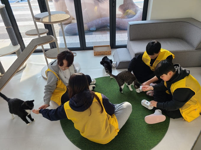 청소년들이 유기동물 봉사활동에 참여해 교감활동을 하고 있다. (사진=경기도 제공)