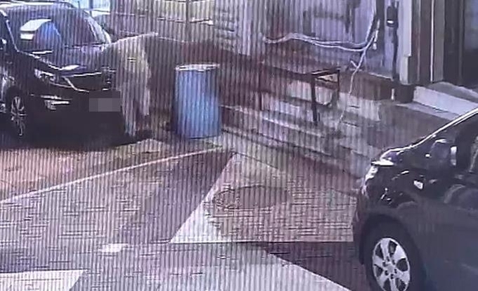 동물자유연대가 제출한 CCTV 영상. A씨가 길고양이를 학대하는 모습이 촬영됐다. ( 사진 = 동물자유연대 제공 )