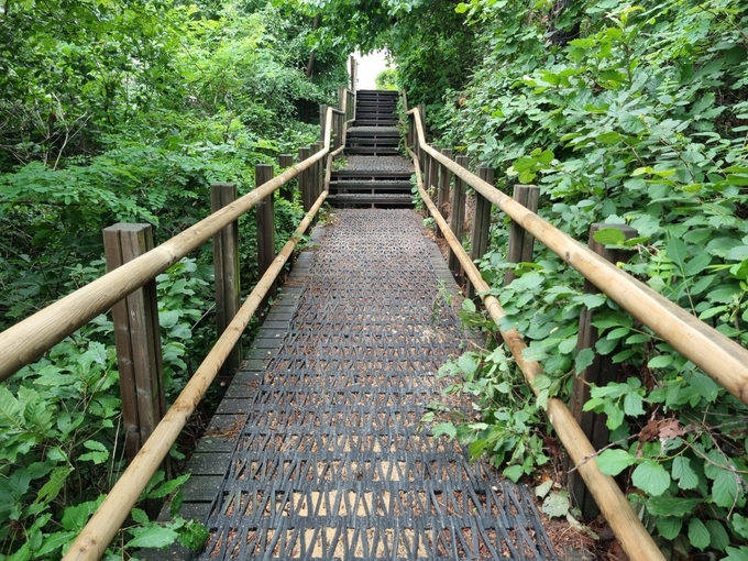 정비된 만월산 등산로. ( 사진 = 남동구 제공 )