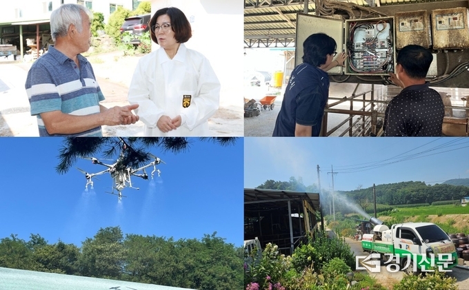 사진 설명 ▲김보라시장 폭염현장 방문 ▲화재예방 전기안전 점검 ▲드론 활용 차열페인트 도포 ▲방역차 활용 축사지붕 물살포. (사진=안성시 제공)