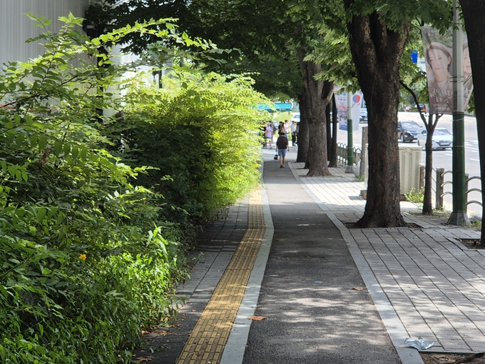 남동구 인주대로 593. 자전거·보행자 겸용 도로와 점자블록이 인접해 있다 ( 사진 = 이현도 기자 )