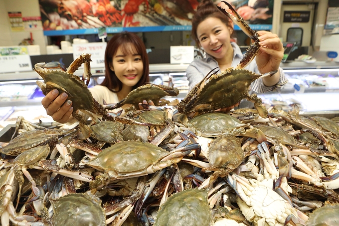 롯데마트가 금어기 해제 당일인 21일부터 서해안에서 잡은 햇꽃게를 전국 매장에서 판매한다. (사진=롯데마트 제공)