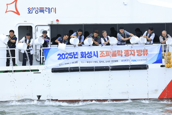 화성특례시 관계자 등이 26일 국화도 인근 바다에 조피볼락 종자를 방류하고 있다. (사진=화성시 제공)
