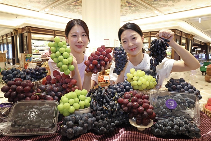 신세계백화점이 내달 7일까지 전점 식품관에서 신품종과 차별화된 수입 품종을 선보이는 ‘포도의 신세계’ 행사를 연다. (사진=신세계백화점 제공)